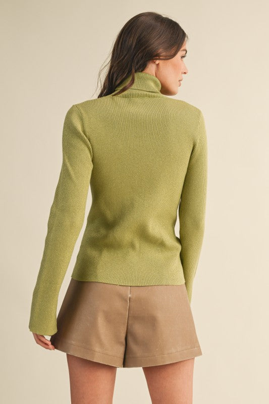 Taylor Turtleneck Top