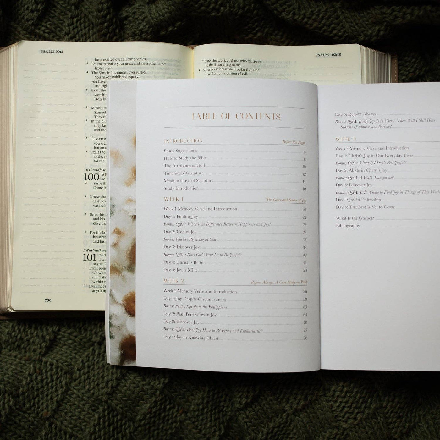 A Joy That Endures | How Jesus Is the Source of Unshakable Joy